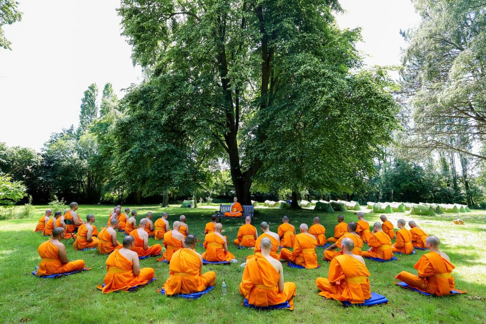 European Ordination Program 2026 — photo 8 of 21