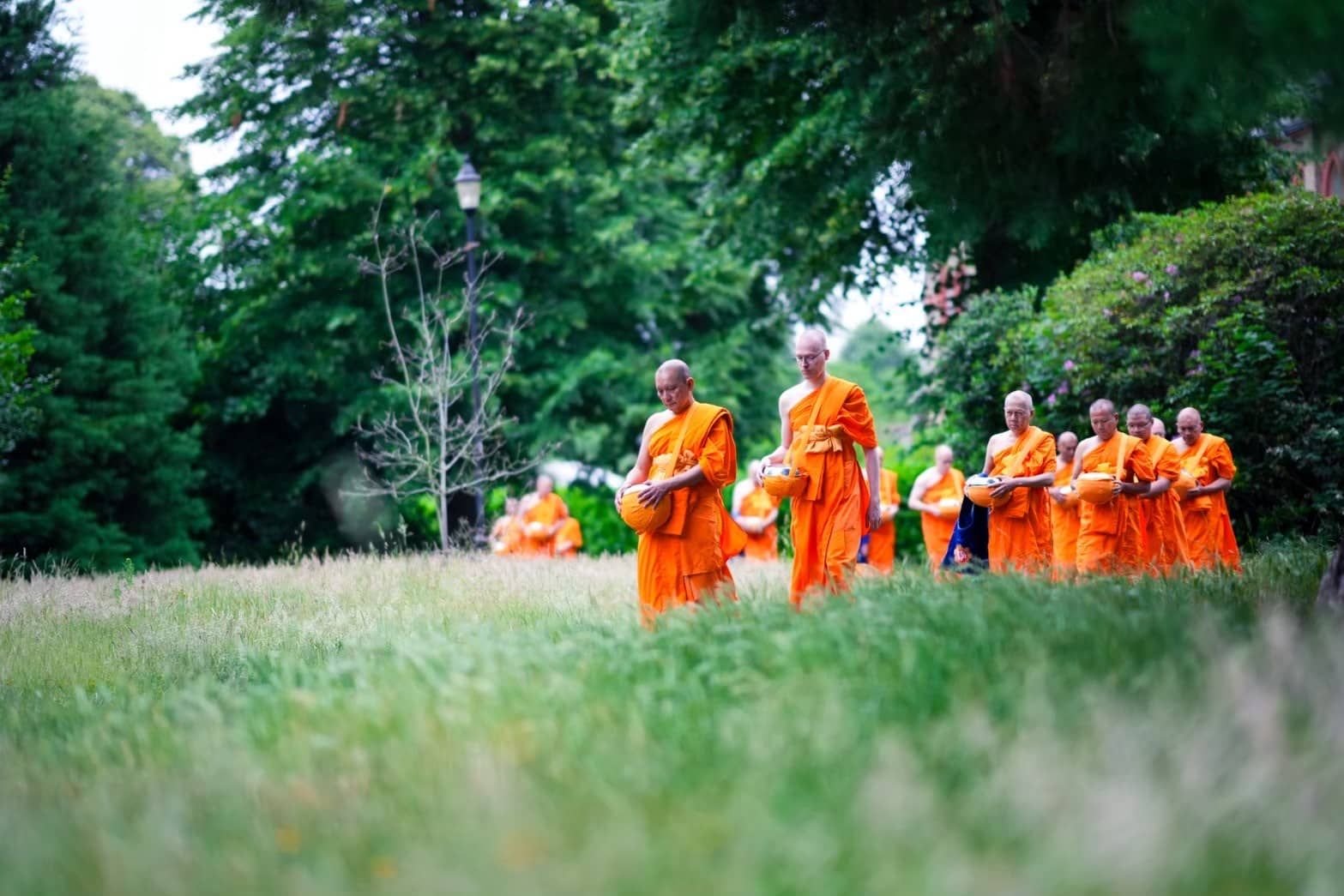 European Ordination Program 2025 — photo 15 of 19