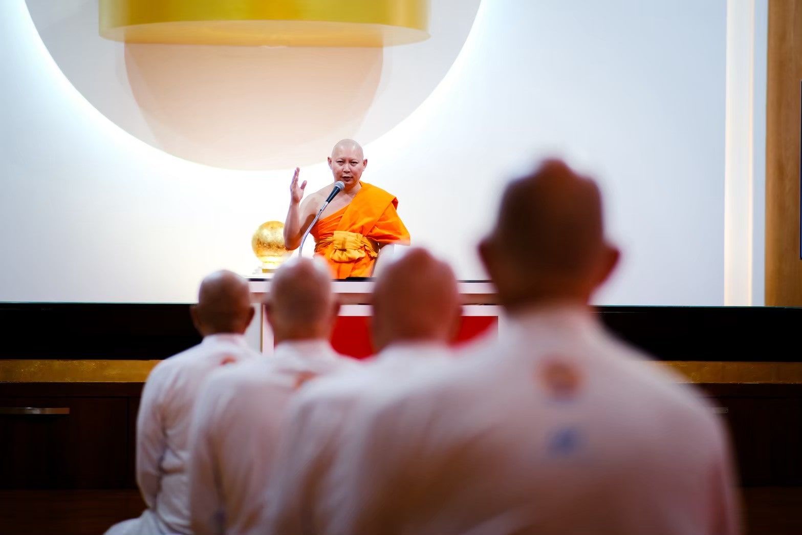 European Ordination Program 2025 — photo 8 of 19